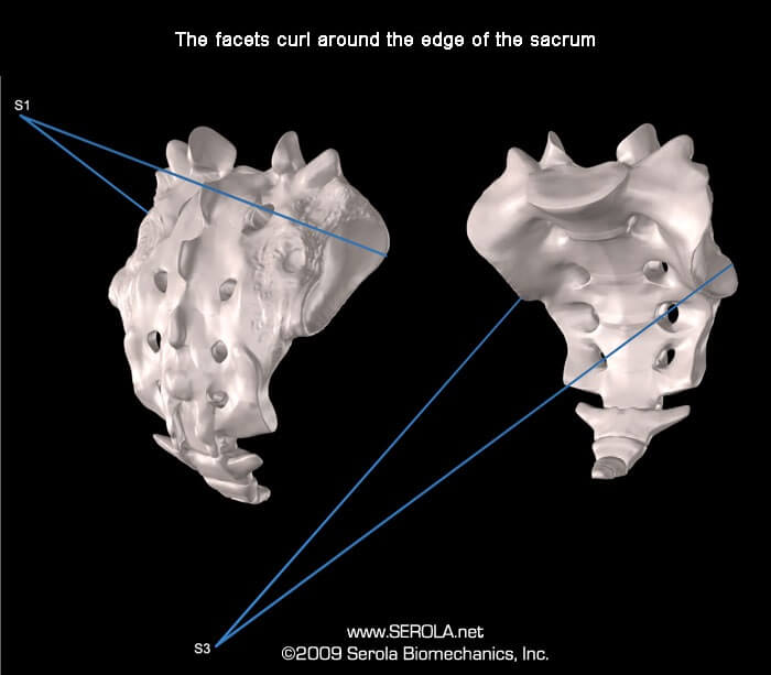 Serola solutions pour l’articulation sacro-iliaque