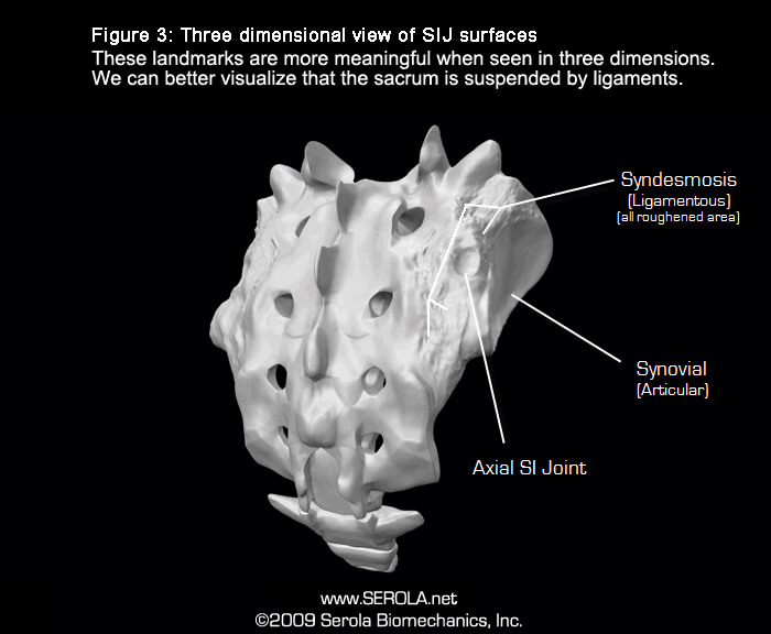 Serola solutions pour l’articulation sacro-iliaque